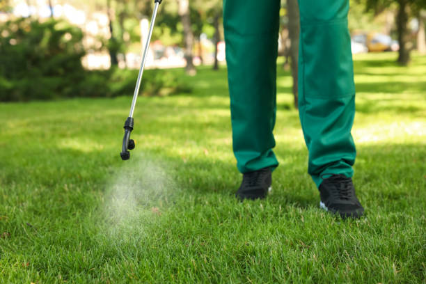 Best Local Pest Control Services  in Vilge St George, LA