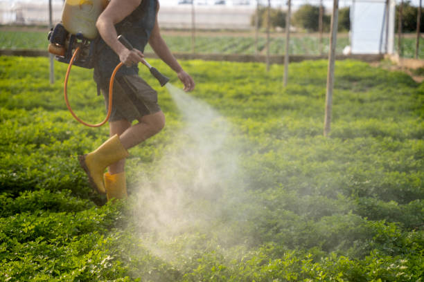 Best Exterminator Services  in Vilge St George, LA