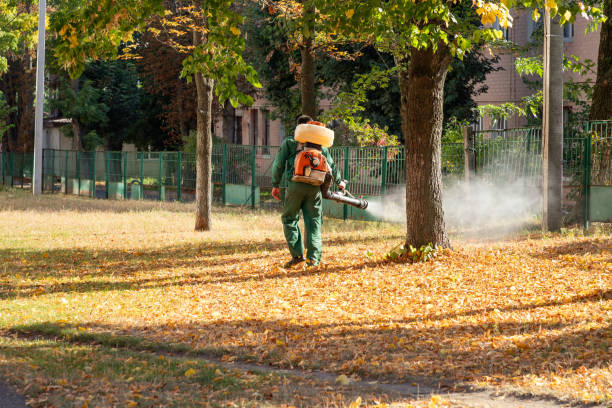 Best Residential Pest Control  in Vilge St George, LA