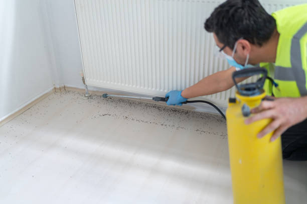 Best Ant Control Services  in Vilge St George, LA