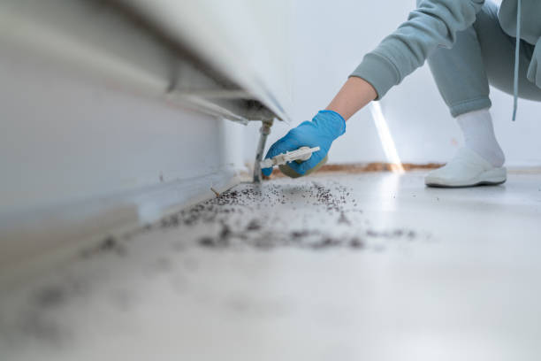 Best Mosquito Control Services  in Vilge St George, LA