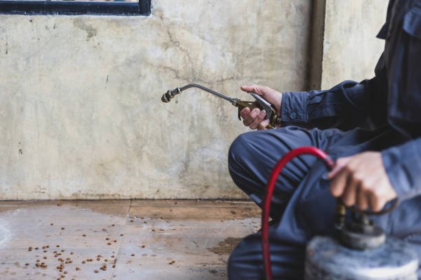 Best Pest Inspection Near Me  in Vilge St George, LA